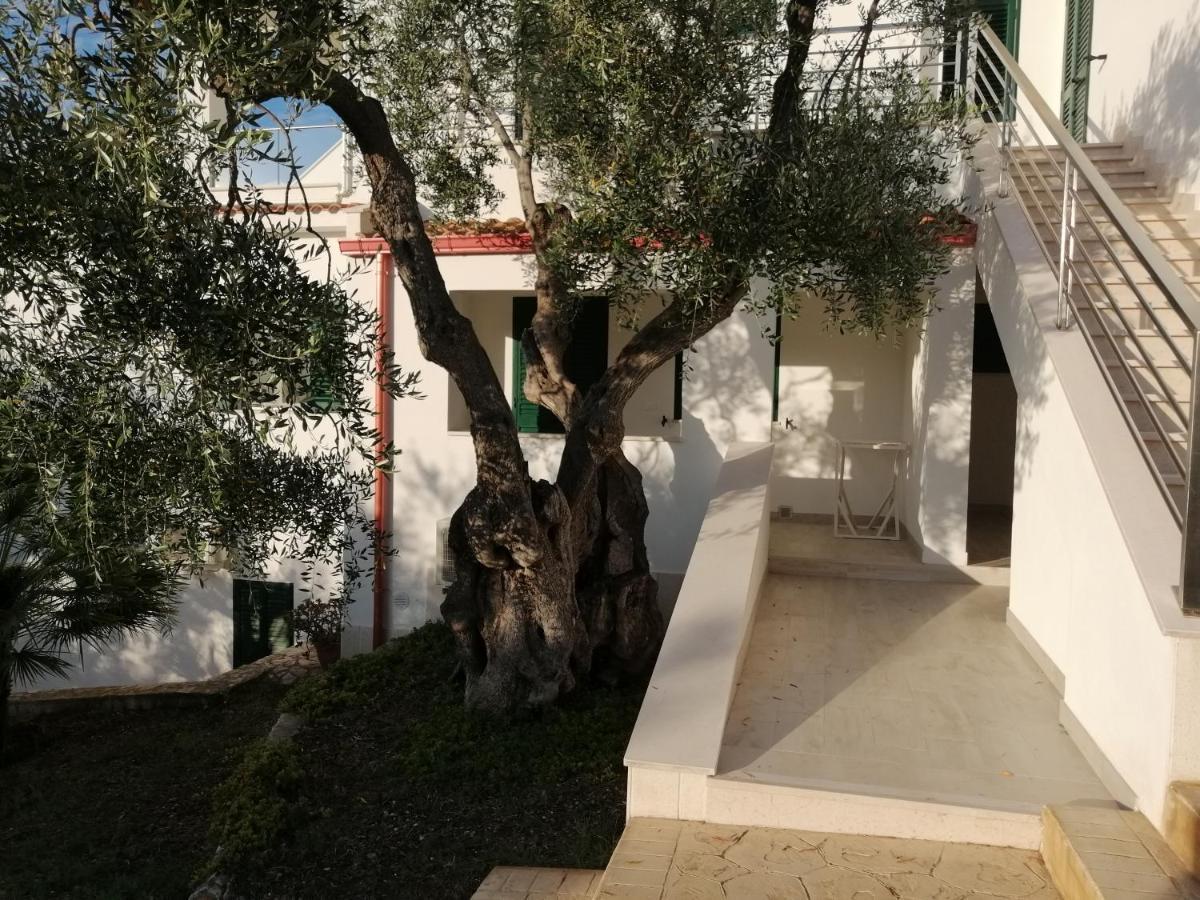 Villa Elisa Vieste Esterno foto